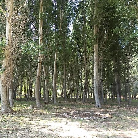 Cabana Ecologica Uspallata Kültér fotó