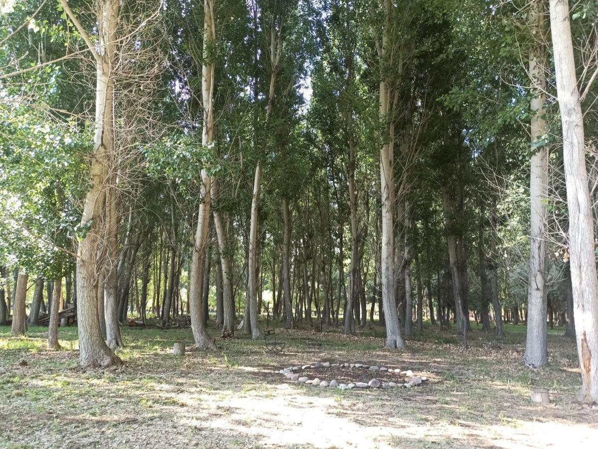 Cabana Ecologica Uspallata Kültér fotó
